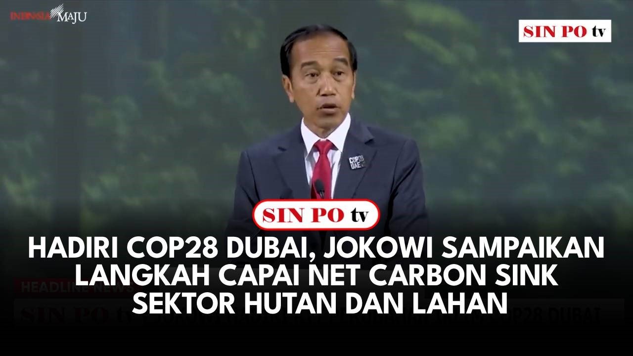 Hadiri COP28 Dubai, Jokowi Sampaikan Langkah Capai Net Carbon Sink Sektor Hutan dan Lahan