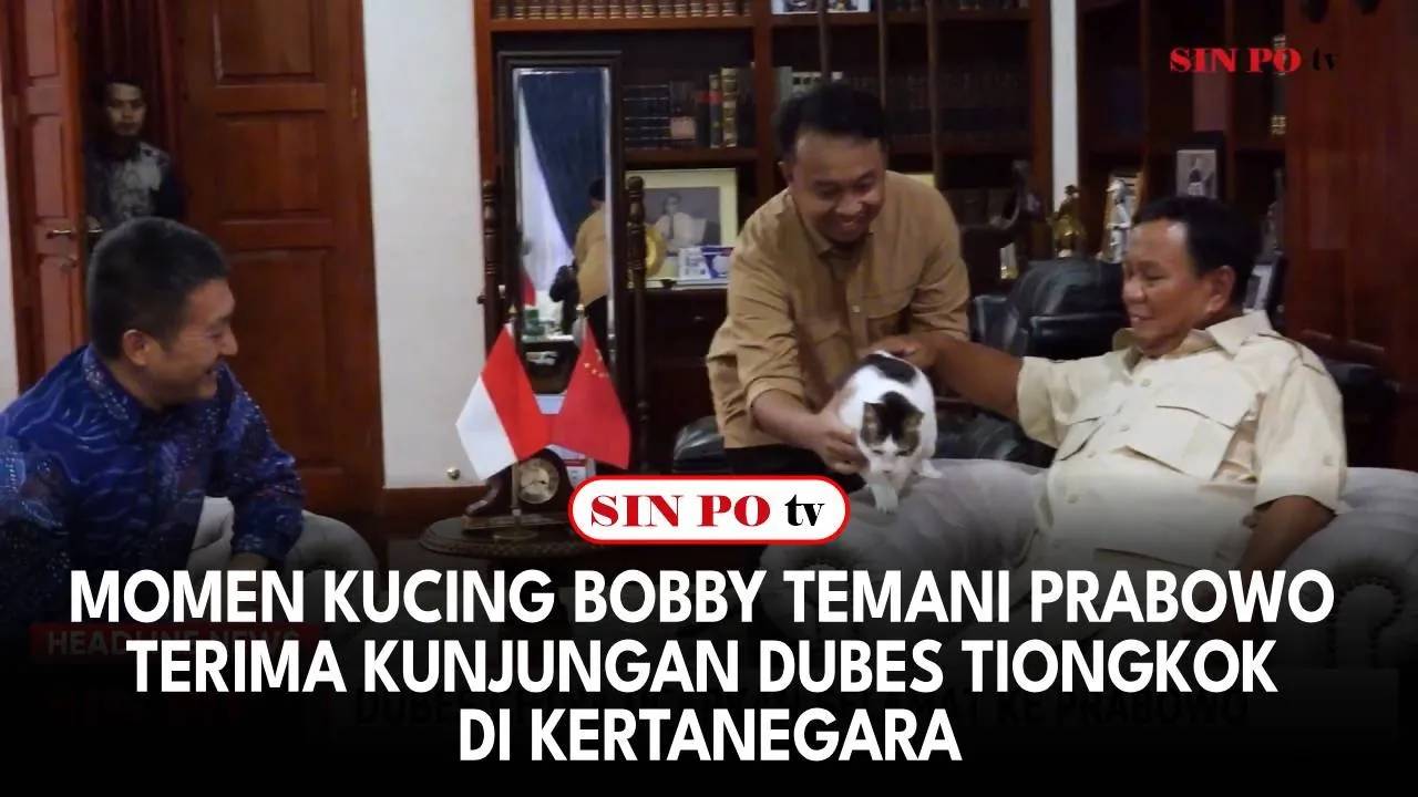 Momen Kucing Bobby Temani Prabowo Terima Kunjungan Dubes Tiongkok di Kertanegara