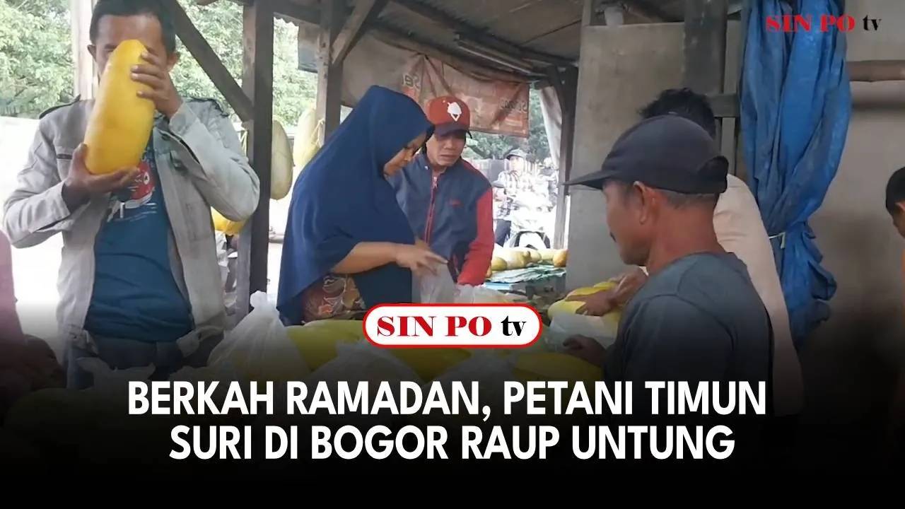 Berkah Ramadan, Petani Timun Suri Di Bogor Raup Untung